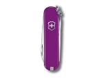 Canif Victorinox CLassic SD Tasty Grape